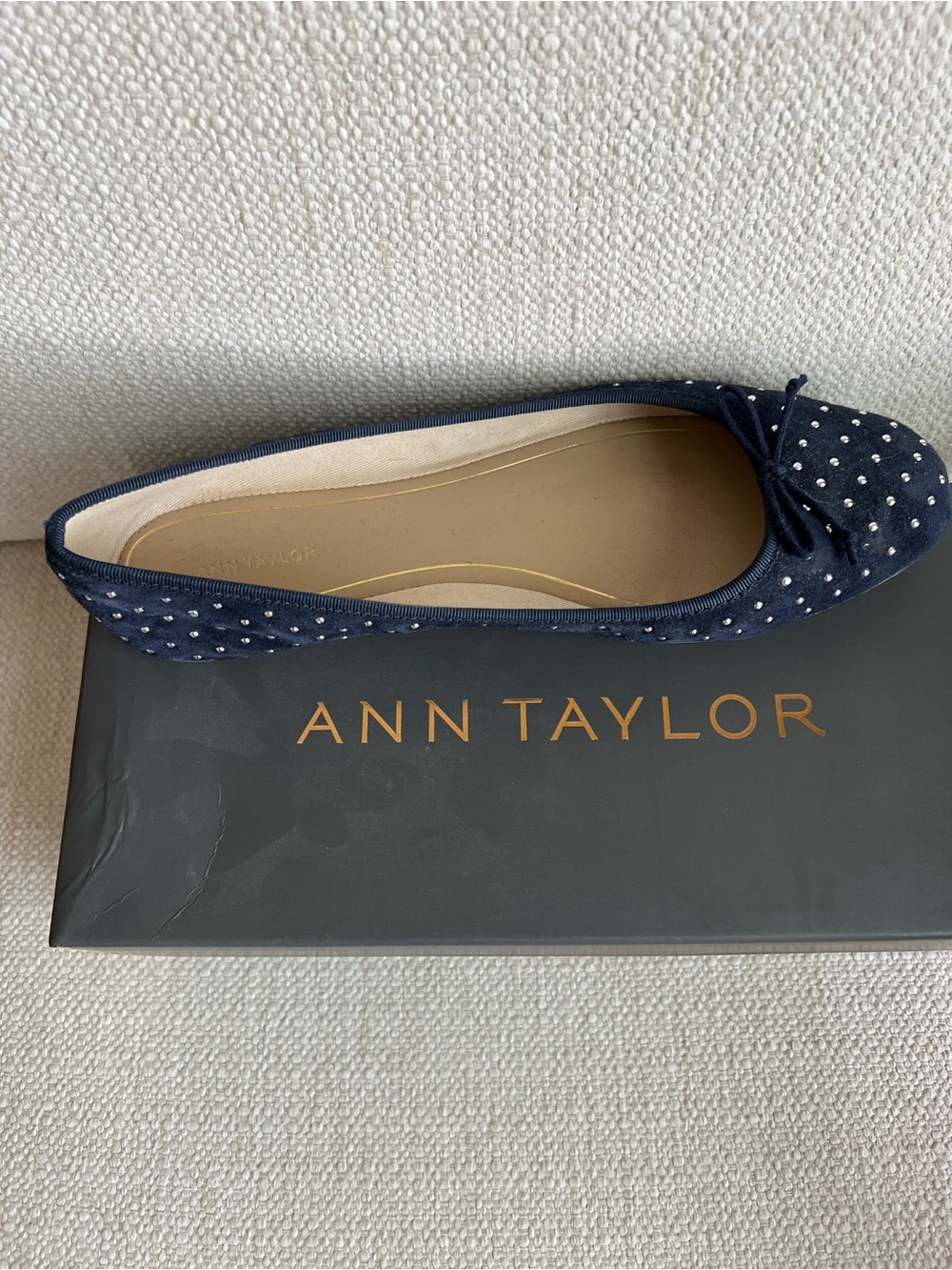 Ann Taylor Navy Suede Ballet Flat with Silver Studs